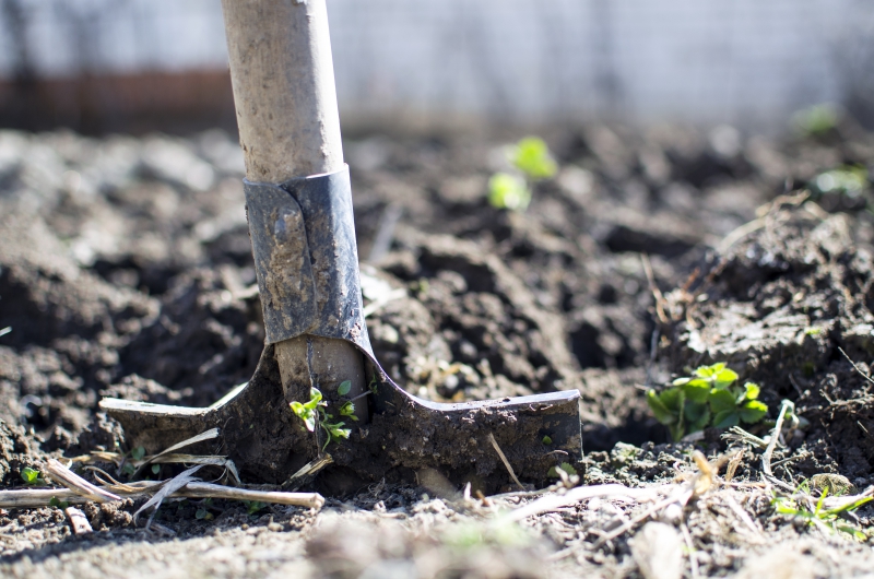 jardinerie-LA GARDE-min_equipment-2047314