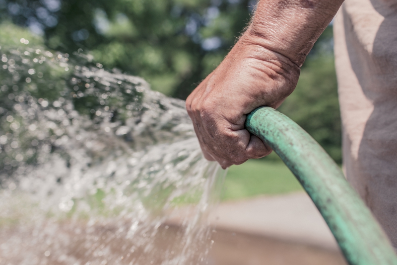 jardinerie-LA GARDE-min_garden-hose-413684